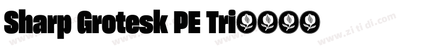 Sharp Grotesk PE Tri字体转换